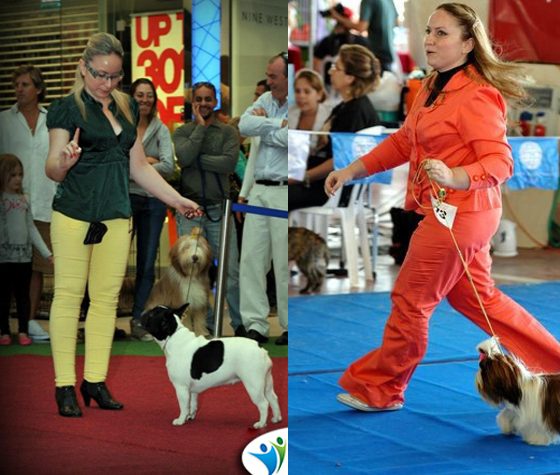 הסיפור של מאיה